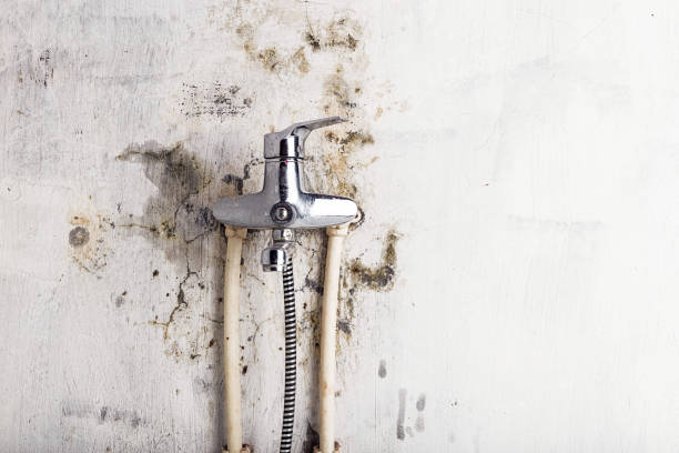 Bradford, RI Mold Removal Company