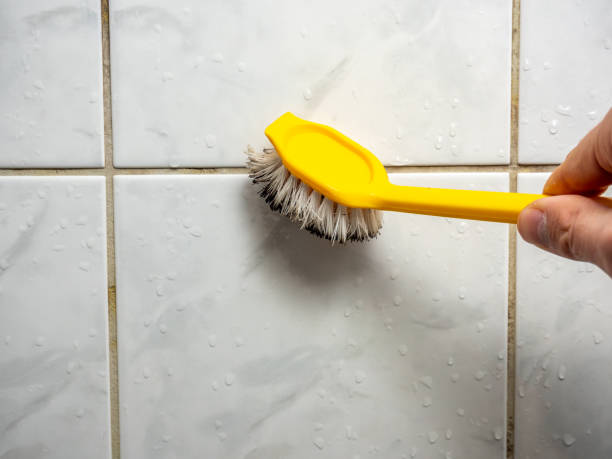 Best Mold Removal Company Near Me  in Bradford, RI
