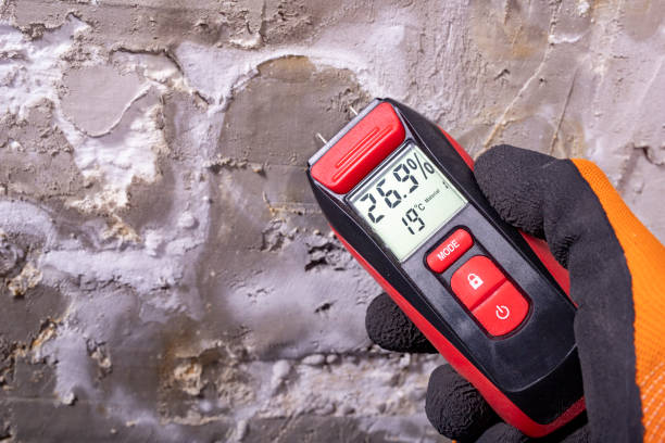 Best Affordable Mold Removal  in Bradford, RI